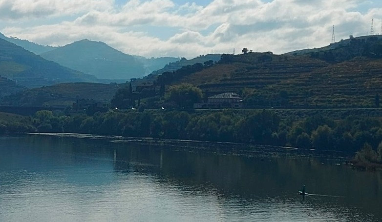 Tour no Douro: Cruzeiro, Almoço e Prova de Vinho