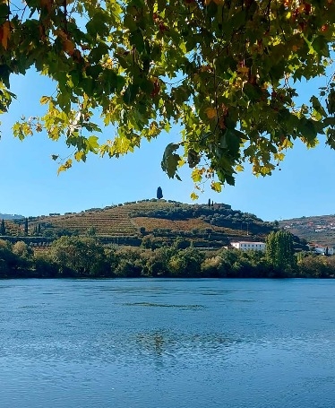 Tour no Douro: Cruzeiro, Almoço e Prova de Vinho