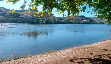 Tour no Douro: Cruzeiro, Almoço e Prova de Vinho