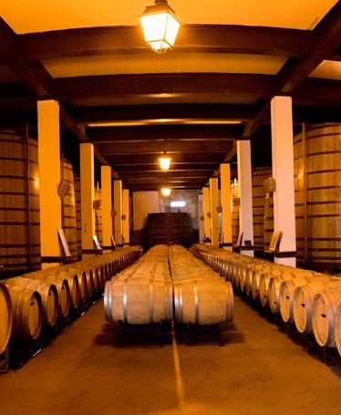 Rota do Vinho e Licor de Favaios