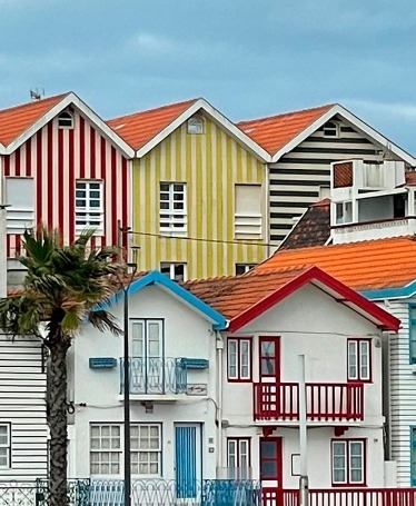 Aveiro & Coimbra Tour with Moliceiro Cruise