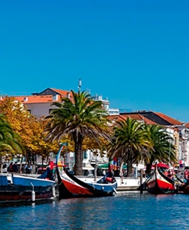 Day Trip to Lisbon & Óbidos from Porto