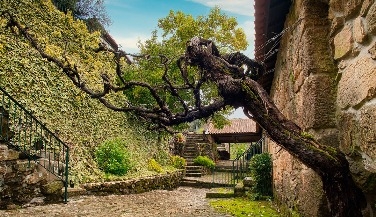 Private Vinho Verde Wine Tour