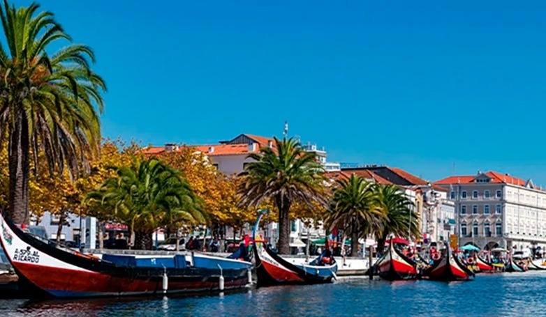 Private Aveiro & Coimbra Tour: History & Culture