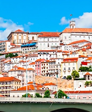 Private Aveiro & Coimbra Tour: History & Culture
