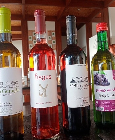 Private Douro Vineyards Tour with Wine Tasting