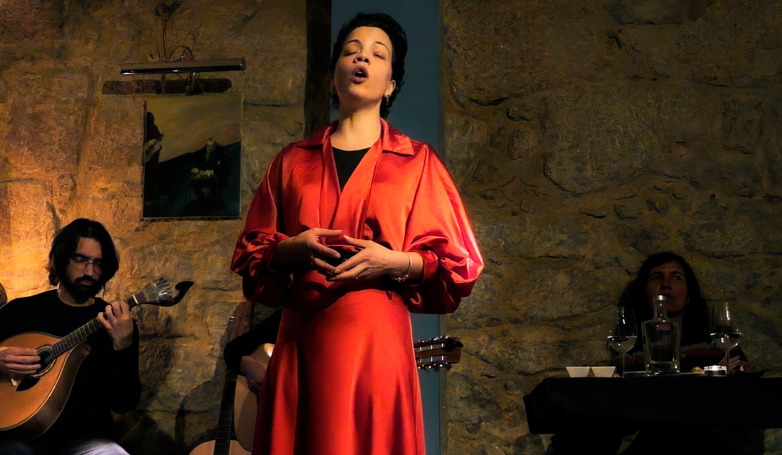 Dinner with Fado Show and Night Tour