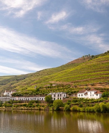 Douro Tour - Cruise and Wine Tasting
