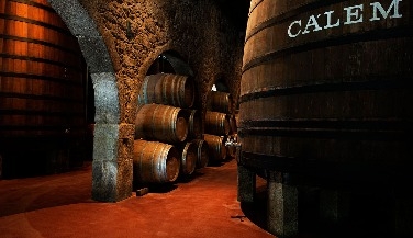 Full Day Tour in Porto: 8 Hours of Discovery
