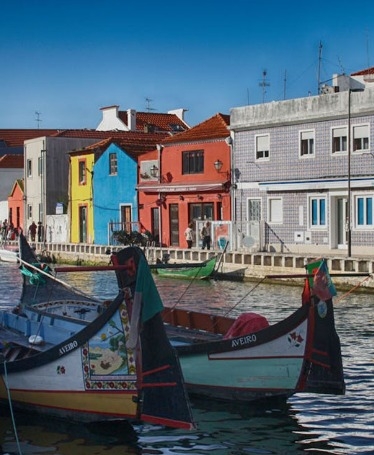 Tour a Aveiro e Coimbra com passeio de Moliceiro