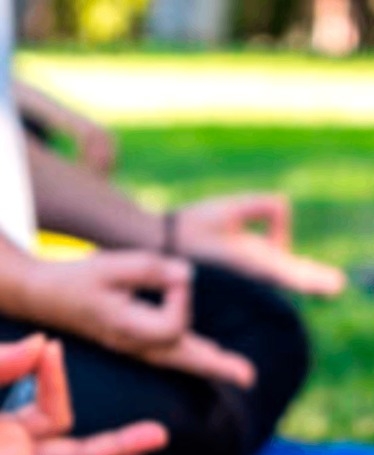 Zen Tour in Porto: Meditation and Mindfulness