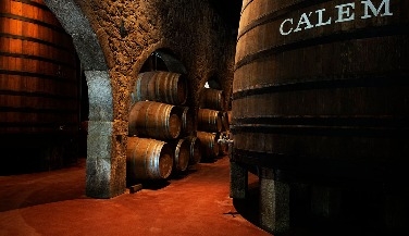Walking Tour in Porto with Wine Tasting - 4h
