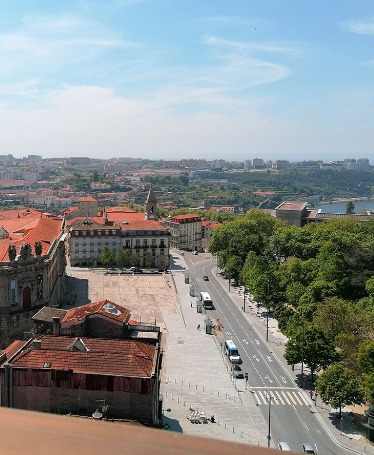 Visit to the Clérigos Tower, Museum and Church