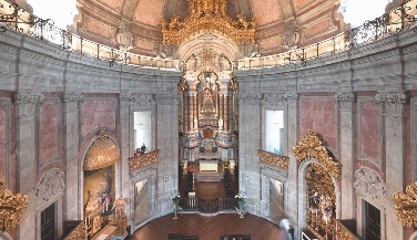 Visit to the Clérigos Tower, Museum and Church