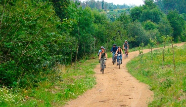 E-Bike Tour: Vale do Lima e Peneda-Gerês