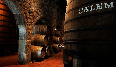 Porto Tour with Lunch and Wine Tasting