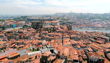Visit to the Clérigos Tower, Museum and Church