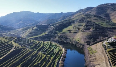 Colheita no Douro com Maçãs, Vinhos e Almoço