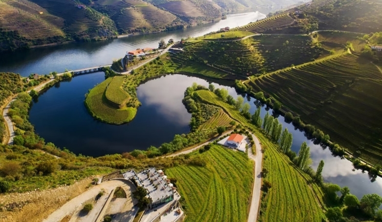 Passeio de Barco no Douro e Prova de Vinhos