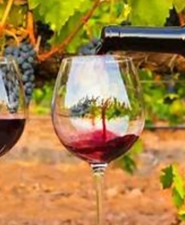 Passeio de Barco no Douro e Prova de Vinhos