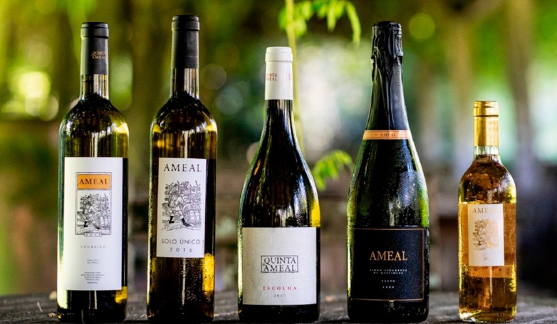 E-Bike Tour and Wine Tasting at Quinta do Ameal