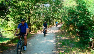 E-Bike, Arvorismo e Kayak no Vale do Rio Lima
