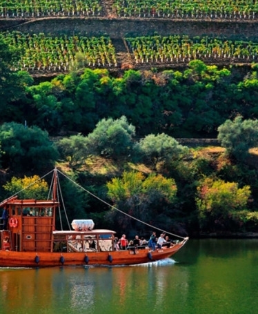Passeio de Barco no Douro e Prova de Vinhos