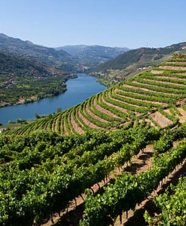 Golf and Winery Visit in the Douro Valley