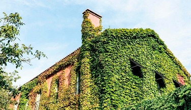 E-Bike Tour and Wine Tasting at Quinta do Ameal