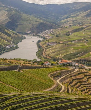 Visita a Lamego e a Quinta com Provas de Vinhos