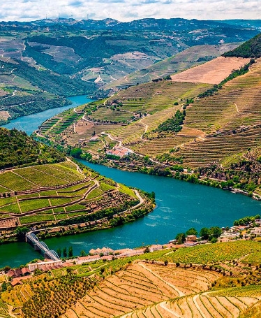Douro Tour: Pinhão, Boat Ride, Wine & Gastronomy