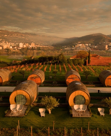 Douro Tour: Pinh&atilde;o, Boat Ride, Wine & Gastronomy