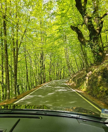 Tour de 1 Dia no Parque Nacional Peneda-Gerês