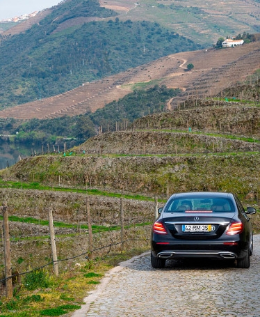 Experiência Vínica no Douro em Carro Privado