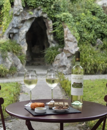 Wine in the Park: Experience at Casa São Roque