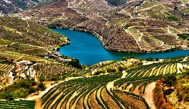 Douro Wine Country Tour by Private Car