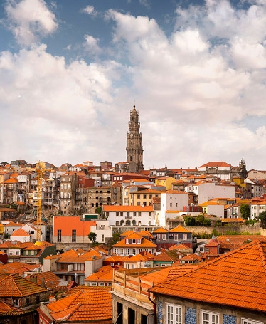 Porto Half Day Tour by Private Car