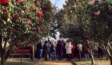 Guided Tour of the Garden and Camellias of São Roque