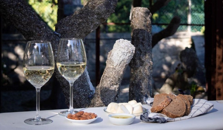 Wine in the Park: Experience at Casa São Roque
