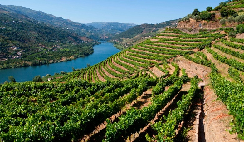 Tour Douro com Comboio