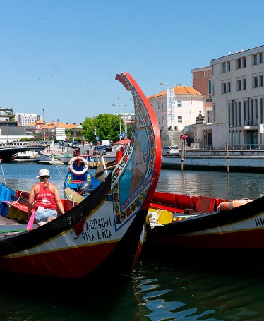 Half-Day Tour to Aveiro by Private Car