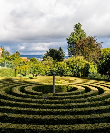 Guided Tour of the Garden and Camellias of São Roque