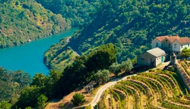 Tour Douro com Comboio