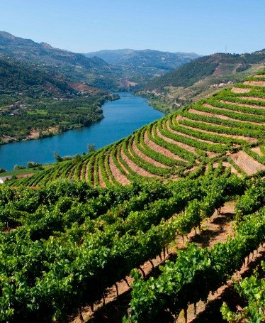 Tour Douro com Comboio