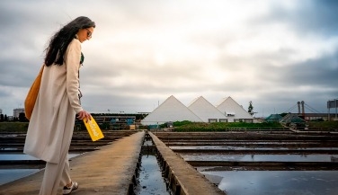 Aveiro Tour: Ovos Moles, Moliceiro Cruise and Costa Nova