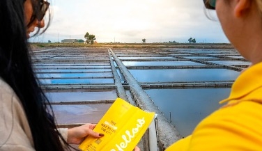 Aveiro Tour: Ovos Moles, Moliceiro Cruise and Costa Nova