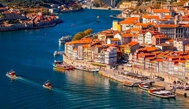 Gray Line Porto: Panoramic Bus Tour + Serralves