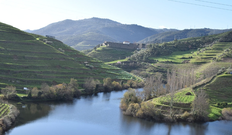 Douro Valley with River Cruise and Lunch