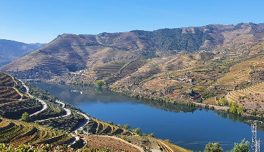 Douro Valley with River Cruise and Lunch