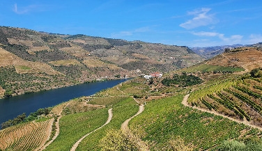 Douro Valley with River Cruise and Lunch